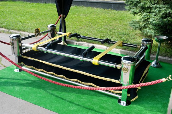 Сингуматор